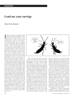 Lend me your earwigs