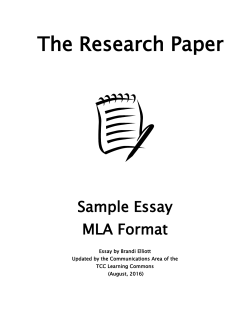MLA Sample Essay