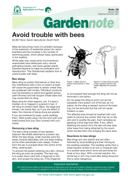 Avoid trouble with bees