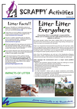 SCRAPPY Activities Litter Litter Everywhere