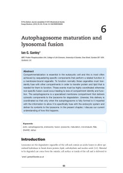 Autophagosome maturation and lysosomal fusion