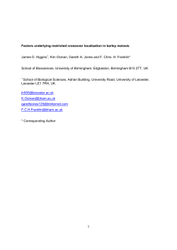 factors underlying restricted crossover localization in barley meiosis