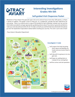 Interesting Investigations