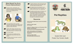 Pet Reptiles - L.A. County Department of Public Health