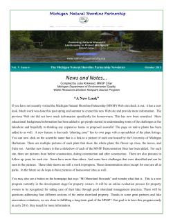 File - Michigan Natural Shoreline Partnership