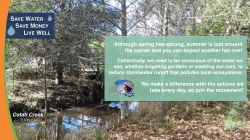 Although spring has sprung, summer is just around the corner and