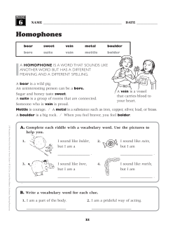 Homophones 6