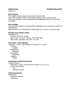 Protistans Instructor Notes Chapter 23 Key Concepts: The kingdom