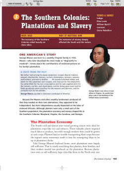 The Southern Colonies: Plantations and Slavery The Southern