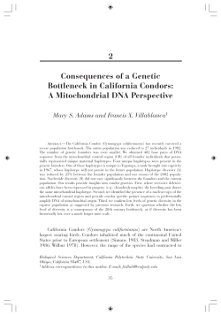 Consequences of a Genetic Bottleneck in