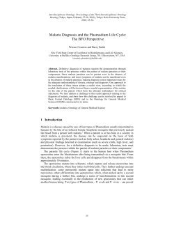 Malaria Diagnosis and the Plasmodium Life Cycle