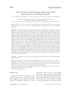 Land use and wetland drainage affect water levels and dynamics of