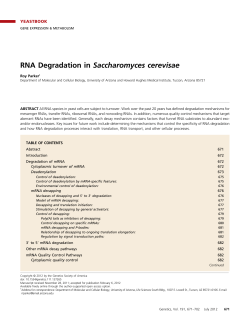 RNA Degradation in Saccharomyces cerevisae