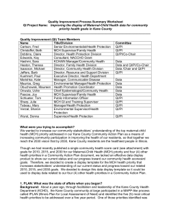 Quality Improvement Process Summary Worksheet QI