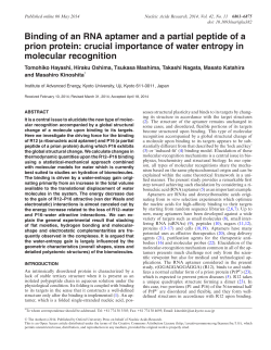 Binding of an RNA aptamer and a partial peptide of a prion protein