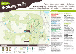 Whinlatter - Walking trails