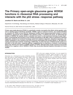 The Primary open-angle glaucoma gene WDR36 functions in