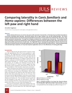 REVIEWS Comparing laterality in Canis familiaris and Homo sapiens