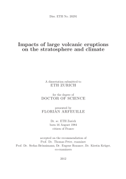 Impacts of large volcanic eruptions on the stratosphere and climate