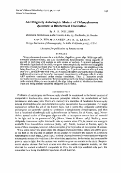An Obligately Autotrophic Mutant of Chlamydomonas