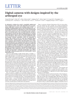 Digital cameras with designs inspired by the arthropod eye