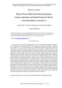 Effects of Water Deficit and Chitosan Spraying on Osmotic