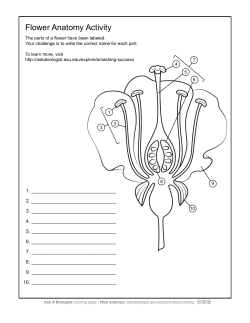 Flower Anatomy Worksheet  - Ask a Biologist