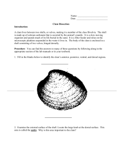 Clam Dissection - Blue Valley Schools