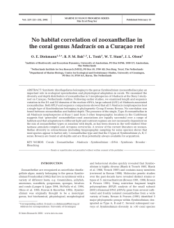 No habitat correlation of zooxanthellae in the coral genus