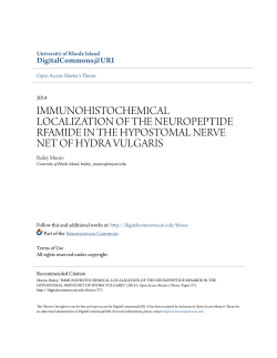 immunohistochemical localization of the neuropeptide rfamide in the