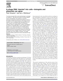 Is phage DNA `injected` into cells—biologists and