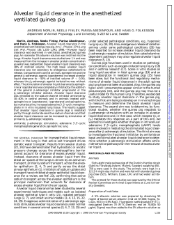 Alveolar liquid clearance in the anesthetized ventilated - AJP-Lung