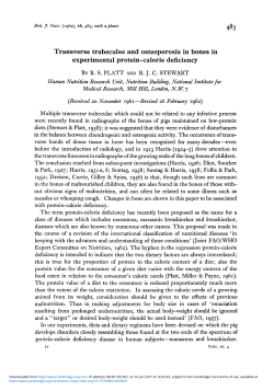 Transverse trabeculae and osteoporosis in bones in experimental