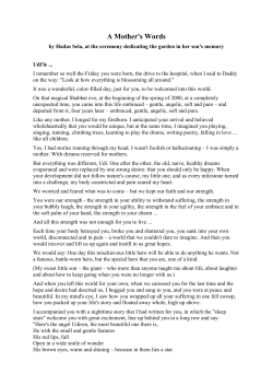 Spanish Team Meetings Progress Report