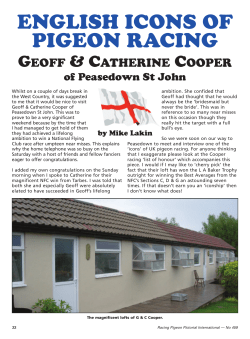 english icons of pigeon racing