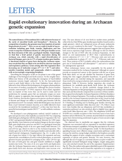 Rapid evolutionary innovation during an Archaean