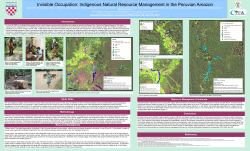 Indigenous Natural Resource Management in the Peruvian Amazon