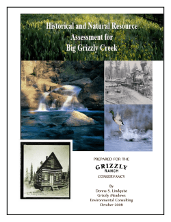 Historical and Natural Resources Assessment for Big Grizzly Creek