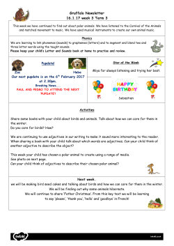 Gruffalo Newsletter 16.1.17 week 3 Term 3