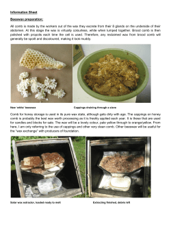 Information Sheet Beeswax preparation: All comb is made by the