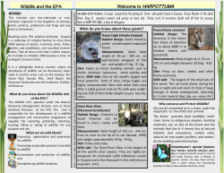 Finalized Wildlife Brochure - (EPA)