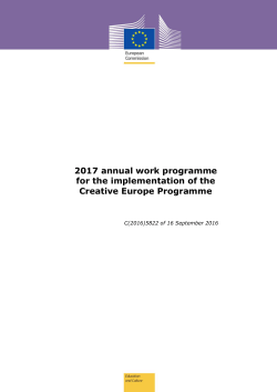 2017 annual work programme for the implementation of the Creative