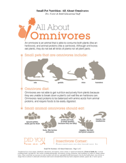 Small Pet Nutrition: All About Omnivores