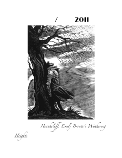 Heathcliff, Emily Bronte`s Wuthering Heights