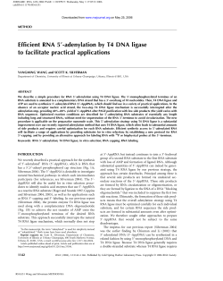 Efficient RNA 59-adenylation by T4 DNA ligase to facilitate practical