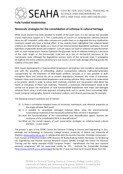 Nanoscale strategies for the consolidation of cellulose in