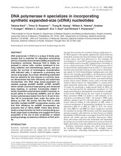 DNA polymerase &theta; specializes in incorporating synthetic expanded