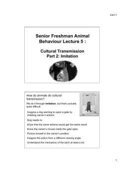 SF AB Lecture 6 Culture 2