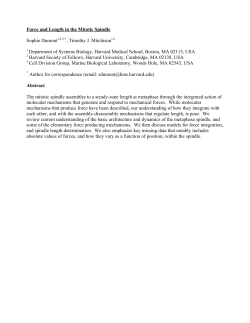 Force and Length in the Mitotic Spindle