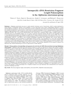 Intraspecific rDNA restriction fragment length polymorphism in the